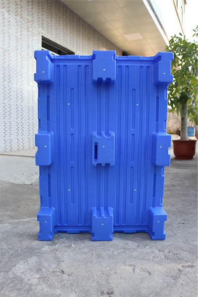 Pallet plastika (1)